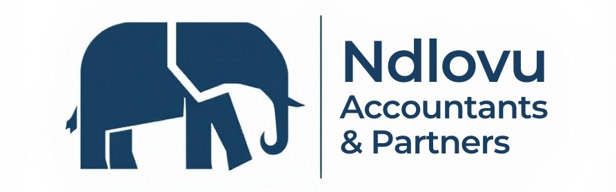 Ndlovu Accountants Logo